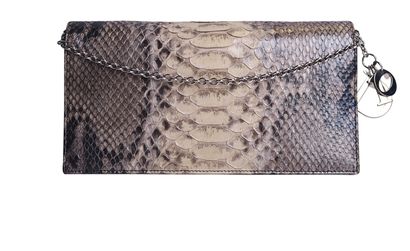 Python Clutch on Chain, front view